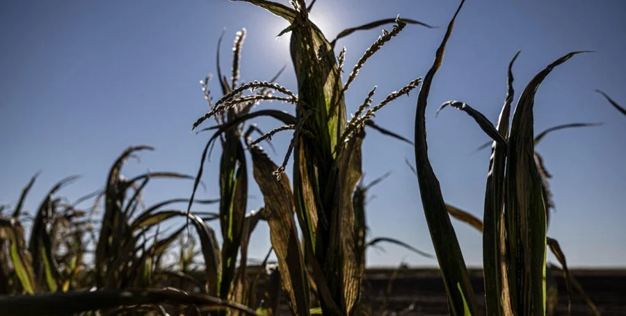 French farmer aid drought crops